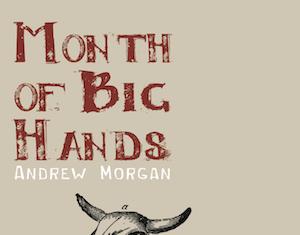 Q&A of the Arts with Andrew Morgan
