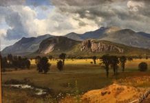 NEC’s Inez McDermott is Co-curator of Currier Art Exhibition