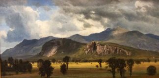 NEC’s Inez McDermott is Co-curator of Currier Art Exhibition