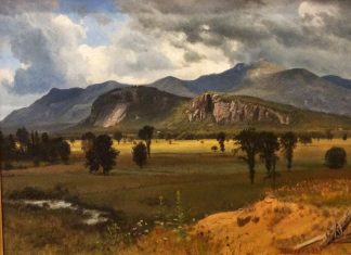 NEC’s Inez McDermott is Co-curator of Currier Art Exhibition