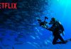 Documentary Review: Mission Blue