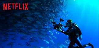 Documentary Review: Mission Blue