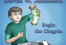 Album Review: Begin the Chagrin by David Jacobsen
