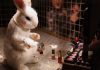 Cosmetic Animal Testing