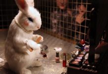 Cosmetic Animal Testing