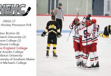 What’s New in Men’s Hockey