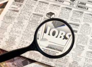 My Summer Job Search