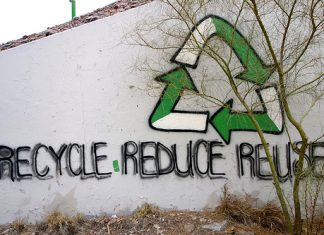Operation TinyTrash: NEC achieves green goal