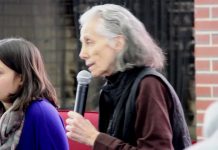 NEC on Trump’s travel ban: where do we go from here?