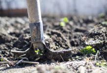 Farming comes to NEC