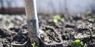 Farming comes to NEC