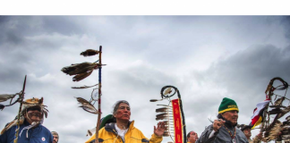 “Standing Up: Moments from a Movement” at Chester Gallery