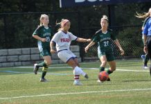 Fall Festival Gallery