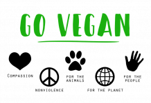 Stevie J & Stevie Wonder are #VEGAN!