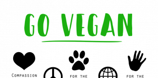 Stevie J & Stevie Wonder are #VEGAN!