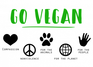 Stevie J & Stevie Wonder are #VEGAN!