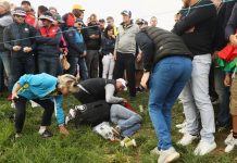 Fan Safety vs The Fan Experience