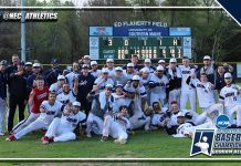2019 NEC Baseball: NECC Champions