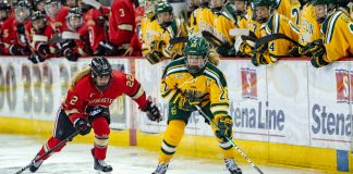 From Belleville to Potsdam to Henniker