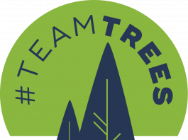 Team Trees: The Goal to Plant 20 Million Trees in 2020