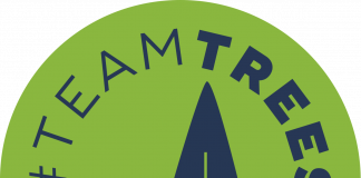 Team Trees: The Goal to Plant 20 Million Trees in 2020