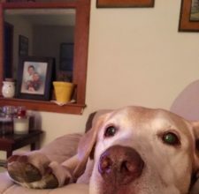 A Tribute to Scooter