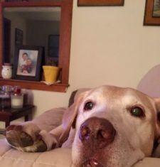 A Tribute to Scooter