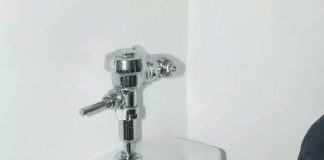 The Scallion*: A Urinal Solution to a Pasta Problem