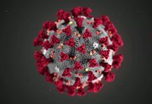 Why So Serious? College Students and Coronavirus