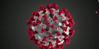 Why So Serious? College Students and Coronavirus