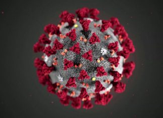 Why So Serious? College Students and Coronavirus