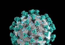 Some Advice While Under Quarantine