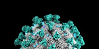 Some Advice While Under Quarantine