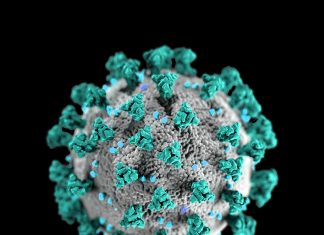 Some Advice While Under Quarantine
