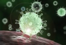 The Possible Problems of Corona Evacuation at NEC