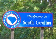 Spring Break Dinner Reviews