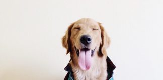 Pups and Positivity
