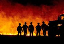 California is America’s Future