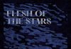 Flesh of the Stars – Mirror / Vessels Review