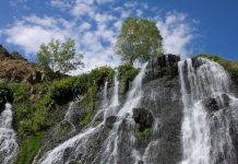 Course Spotlight: The Voice of Nature