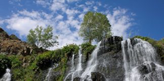 Course Spotlight: The Voice of Nature