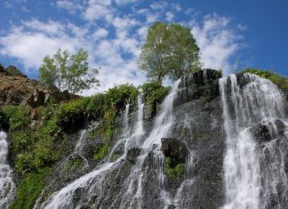 Course Spotlight: The Voice of Nature