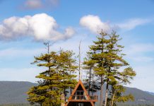 Best Places to See the Foliage in NH