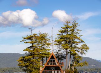 Best Places to See the Foliage in NH