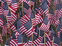 NEC Commemorates 20th Anniversary of 9/11 With Memorial, Vigil