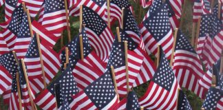 NEC Commemorates 20th Anniversary of 9/11 With Memorial, Vigil