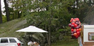 Alumni, Current Students, Families Attend 2021 Fall Festival