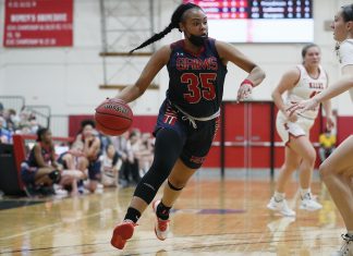 Weekly Sports Recap: Nov. 8 – Nov. 14