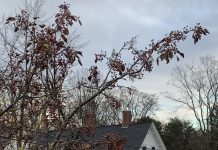 Ken Morgan Spoke at NEC’s Chester Gallery: Biggest Takeaways