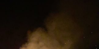 Sophomore Experience Kicks-off with Bonfire